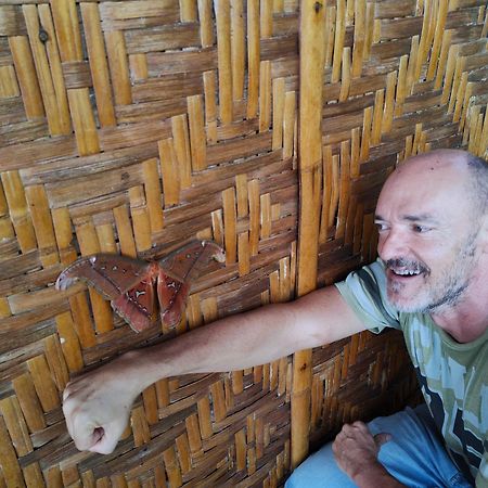 شقة The Balcony Of The Camiguin Island مامباجاو المظهر الخارجي الصورة