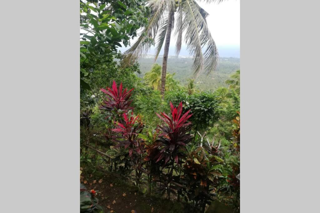 شقة The Balcony Of The Camiguin Island مامباجاو المظهر الخارجي الصورة