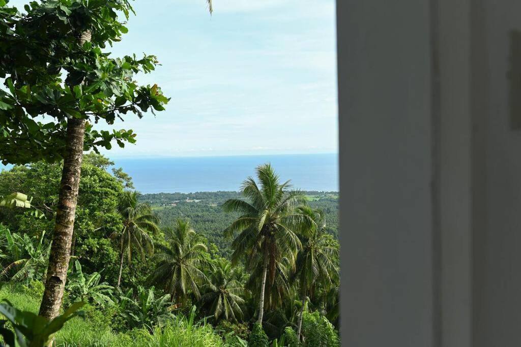 شقة The Balcony Of The Camiguin Island مامباجاو المظهر الخارجي الصورة