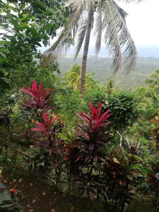 شقة The Balcony Of The Camiguin Island مامباجاو المظهر الخارجي الصورة
